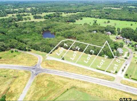 Lots 1&2 County Road 4215, Mount Pleasant, TX 75455