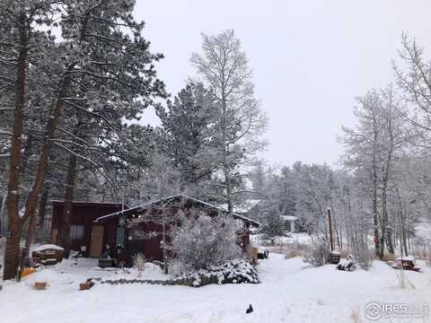 634 Pipsissewa Ln, Red Feather Lakes, CO 80545