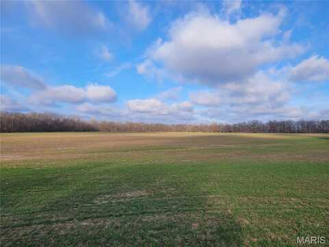 0 Bales Rd. (81.8+/- Acres), Middletown, MO 63359