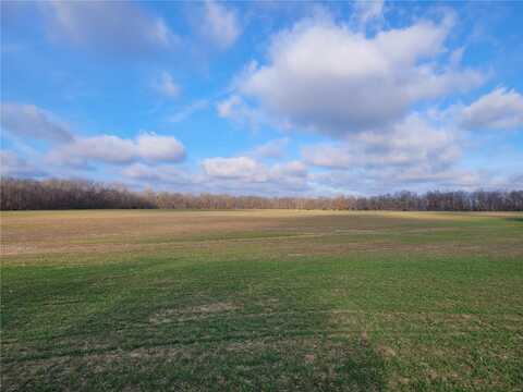 0 Bales Rd. (81.8+/- Acres), Middletown, MO 63359