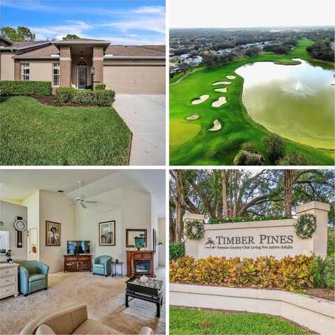 8015 WILLOW BROOK DRIVE, SPRING HILL, FL 34606
