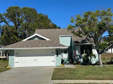 1005 LAKE AVOCA PLACE, TARPON SPRINGS, FL 34689
