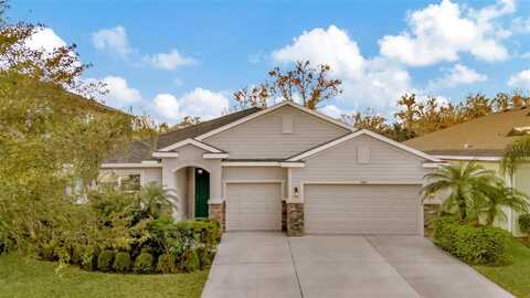 13431 CANOPY CREEK DRIVE, TAMPA, FL 33625