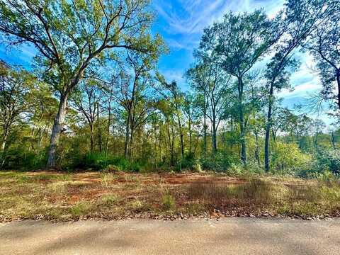 323 Oak Springs, Nacogdoches, TX 75965