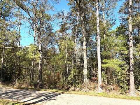 Lot 2A LEONARD Street, Abita Springs, LA 70420