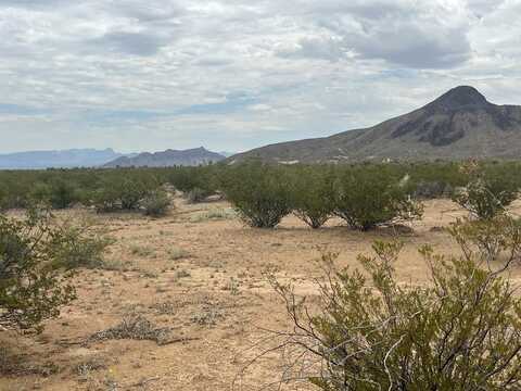 14833 Carico, Terlingua, TX 79852
