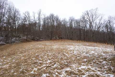 0 Little Sycamore Rd, Tazewell, TN 37879