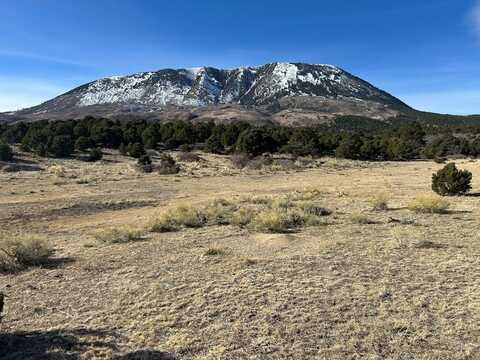 Colorado Land and Grazing lot: 97, Gardner, CO 81040