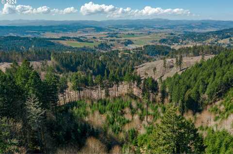 35963 SW BALD PEAK RD, Hillsboro, OR 97123