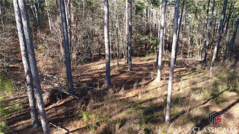 1051 Bluff Road, Elberton, GA 30635