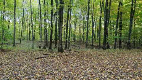 3367 NEEDLES LOT 27, HARBOR SPRINGS, MI 49740
