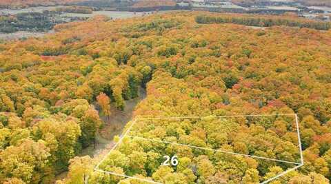 3395 NEEDLES LOT 26, HARBOR SPRINGS, MI 49740