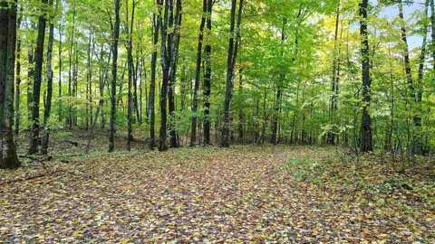 3395 NEEDLES LOT 26, HARBOR SPRINGS, MI 49740