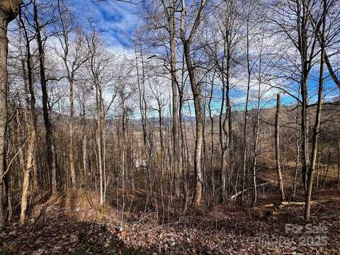 #618 Billy Bob Trail, Waynesville, NC 28786