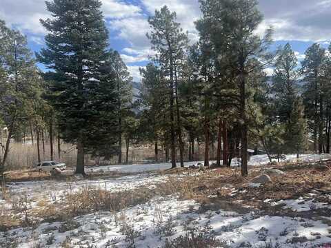 887 Lake View Drive, Vallecito Lake/Bayfield, CO 81122