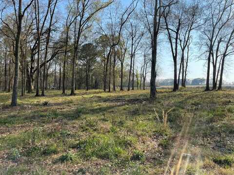 0 Lot I Prevatt Rd, Cowarts, AL 36321