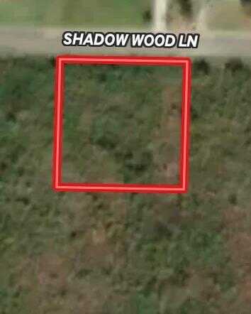 Lot 20 Blk C Shadow Woods Lane, Ozark, AL 36360