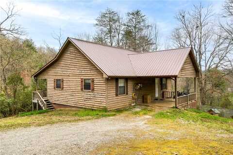 43 NONCHALANT Lane, Blairsville, GA 30512