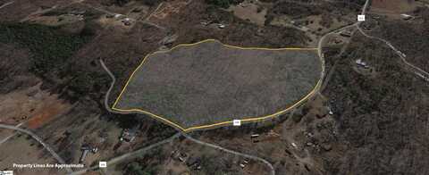 00000 Tubbs Mountain Road, Travelers Rest, SC 29690