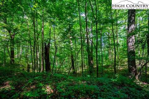 Lot 29 Marta Lane, Zionville, NC 28698