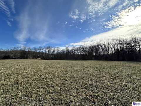 169 Sulphur Run Road, Elkhorn, KY 42733