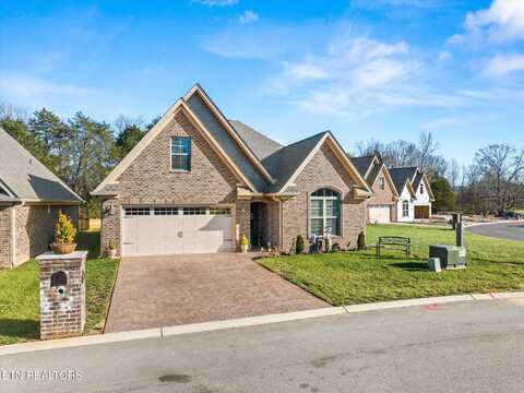 217 Village Cove Circle, Englewood, TN 37329