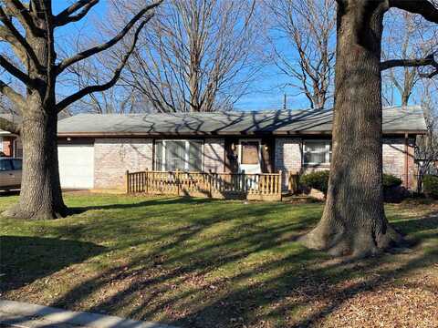 4113 S Park Drive, Belleville, IL 62226