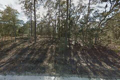 0 SE 21ST PLACE, MORRISTON, FL 32668