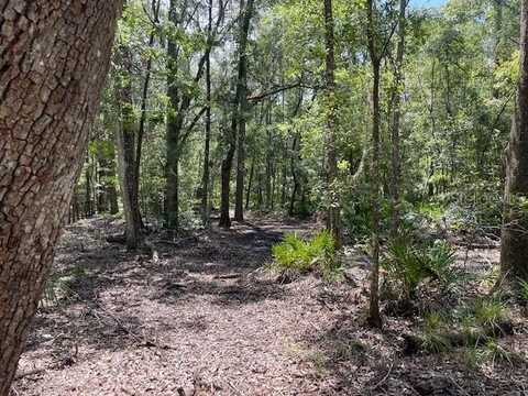 Tbd PINE TREE LANE, MELROSE, FL 32666