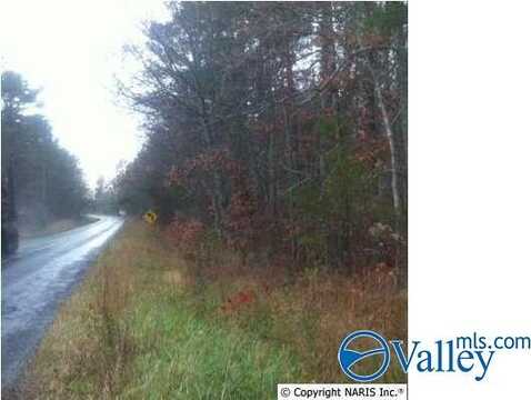 0.09 Acre County Road 165, Mentone, AL 35984