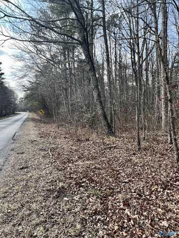 0.09 Acre County Road 165, Mentone, AL 35984