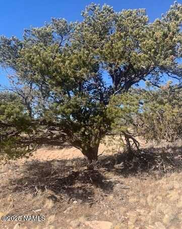 10563 W Bright Sky Trail, Williams, AZ 86046