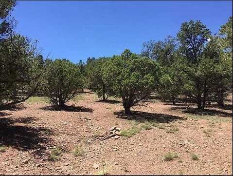 XX Windmill Dr, Datil, NM 87821