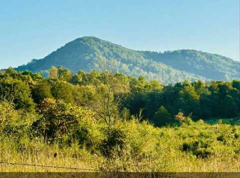 L-2 Cedar Fork Rd, Tazewell, TN, TN 37879