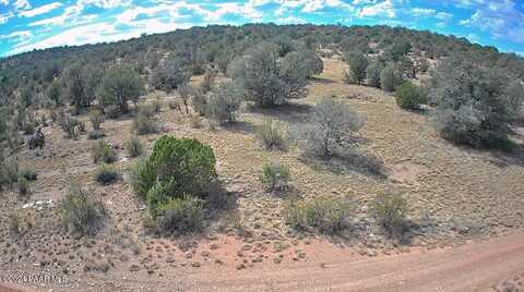 56950 N Shadow Mountain Parkway, Seligman, AZ 86337