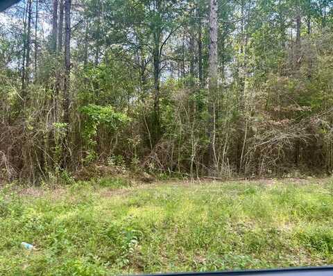 NHN Robert Rhodes Rd, Poplarville, MS 39470