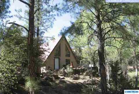 36 Euphoria Road, Silver City, NM 88061