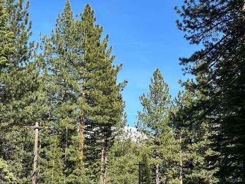 1593 Plumas Circle, South Lake Tahoe, CA 96150