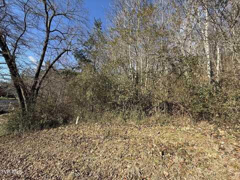 123 Spindletop Drive, Rogersville, TN 37857