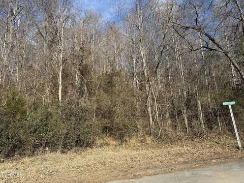 Tbd Spindletop Drive, Rogersville, TN 37857