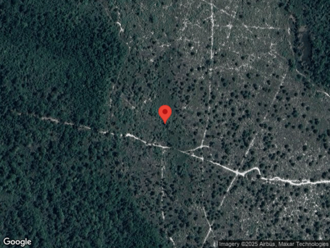 Alicia, SEBRING, FL 33872