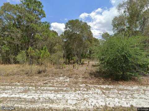 Godwid, LEHIGH ACRES, FL 33974