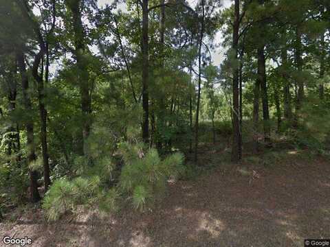 Black Squirrel Rd W, Brookeland, TX 75931