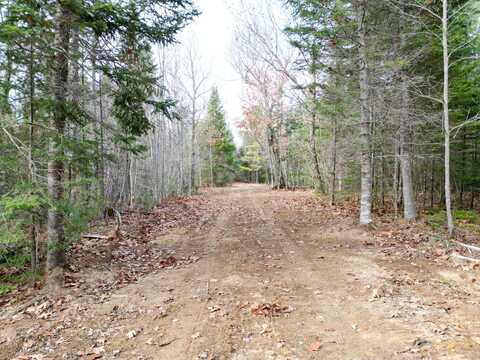 Lot 8 Stevens Brook Lane, Greenbush, ME 04418