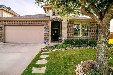 Canyon Wren, KELLER, TX 76244