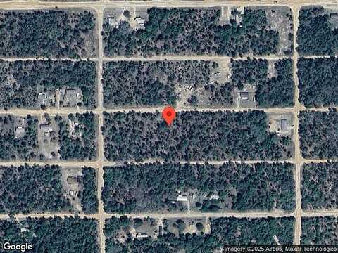 Himalayan St #6, Interlachen, FL 32148