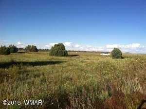 N Commerce Drive And 16Th Street, Show Low, AZ 85901