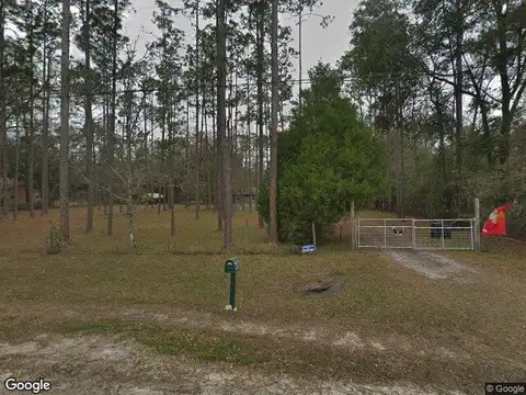 Foxtail, MIDDLEBURG, FL 32068