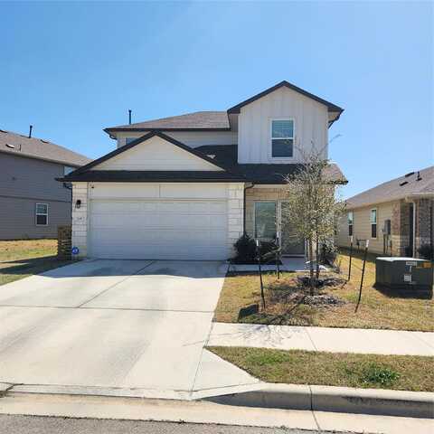 Aster, BASTROP, TX 78602