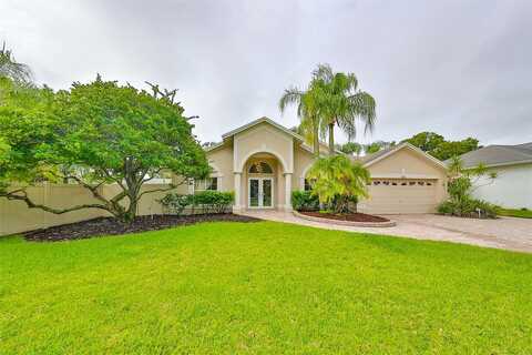 Steeplechase, TAMPA, FL 33625